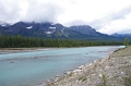 Jasper NP 'Icefields Parkway - Athabasca River' 18_09_2011 (2)